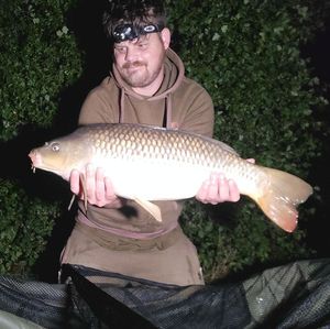Common Carp