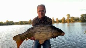 Common Carp
