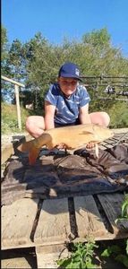 Mirror Carp