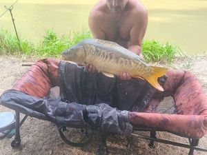 Mirror Carp
