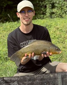 Tench