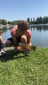 Tench