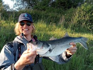 European Bass (Seabass)