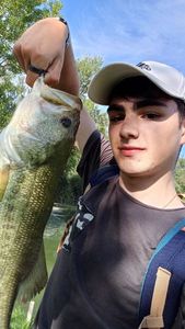 Largemouth Bass