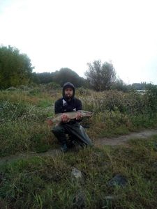 Northern Pike