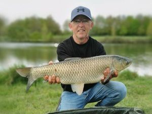 Grass Carp