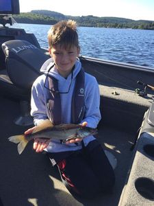 Zander