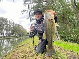 Largemouth Bass