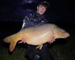 Mirror Carp