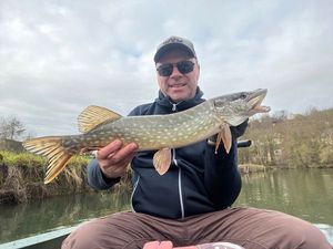 Northern Pike
