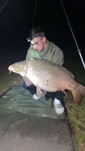 Mirror Carp