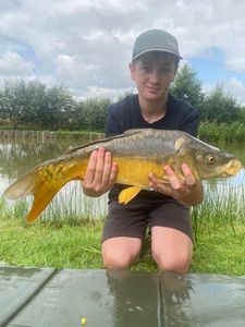 Mirror Carp