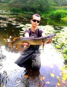 Northern Pike