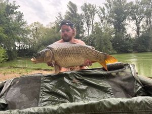 Common Carp