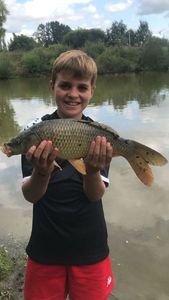 Common Carp
