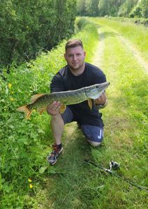 Northern Pike