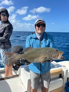 Bluespotted seabass