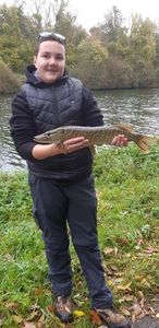 Northern Pike