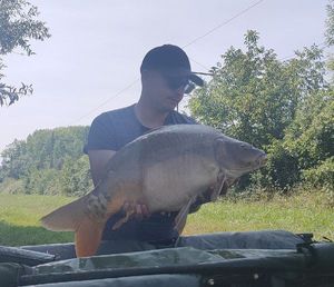 Mirror Carp