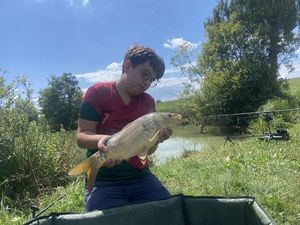 Common Carp