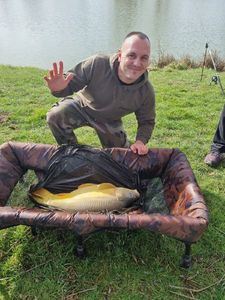 Mirror Carp