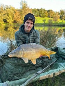 Mirror Carp