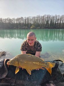 Common Carp