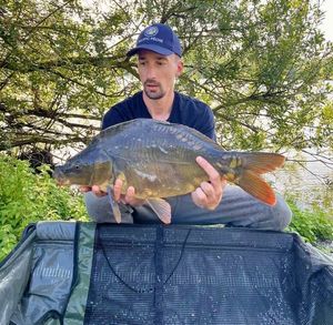 Mirror Carp