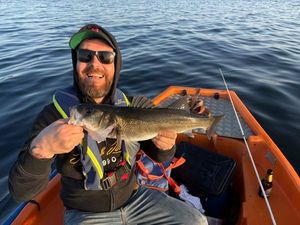 European Bass (Seabass)
