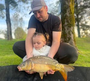 Mirror Carp
