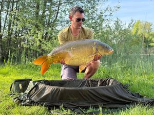 Mirror Carp