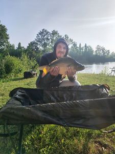 Mirror Carp