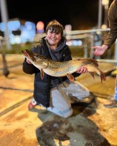 Northern Pike