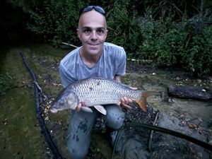 Common Carp