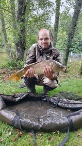 Mirror Carp