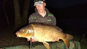 Mirror Carp