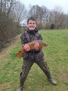 Common Carp