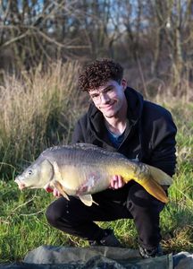 Mirror Carp