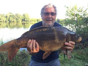 Mirror Carp