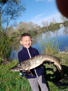 Northern Pike