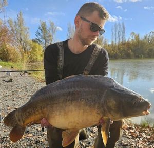Mirror Carp