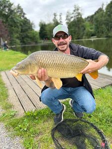 Common Carp