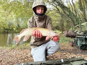Northern Pike