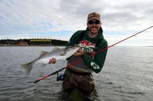 Striped Bass (Landlocked)