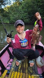 Papuan Black Snapper