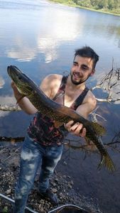 Northern Pike