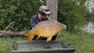 Mirror Carp