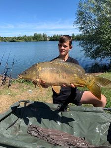 Mirror Carp