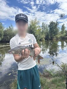 Barbel