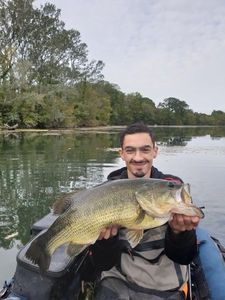 Smallmouth Bass